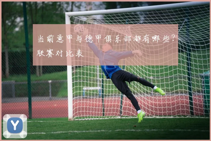 当前意甲与德甲俱乐部都有哪些？联赛对比表