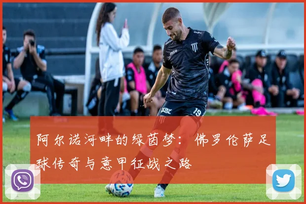 阿尔诺河畔的绿茵梦：佛罗伦萨足球传奇与意甲征战之路